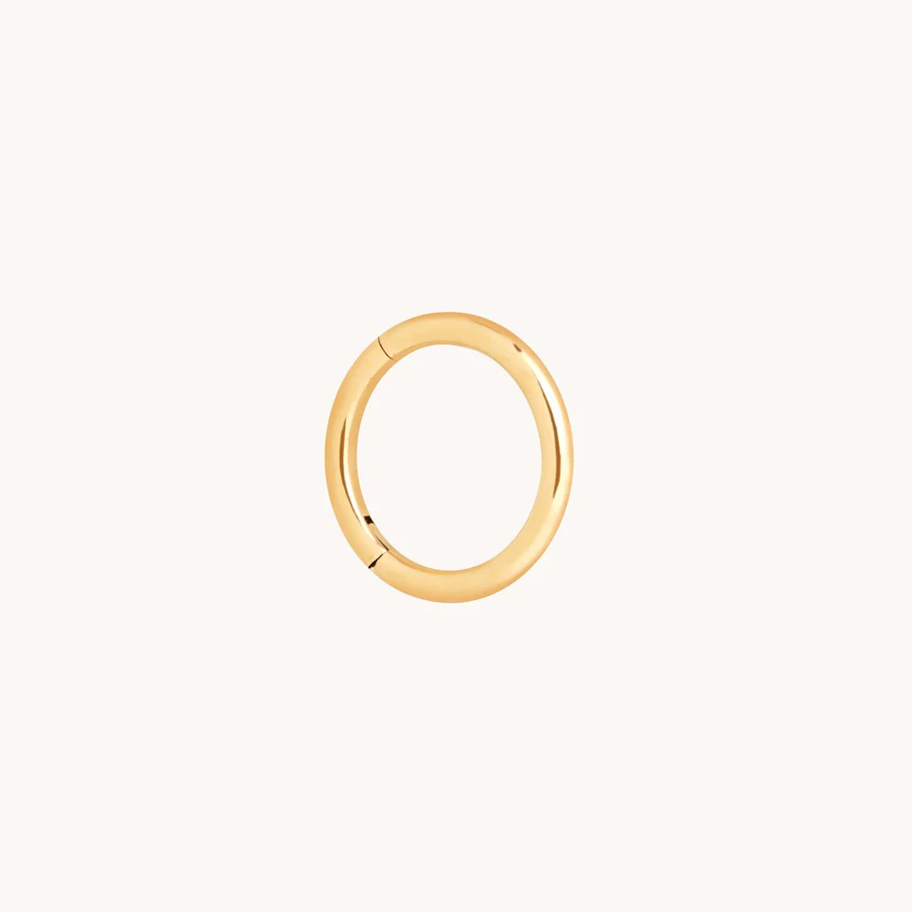 Titanium Seamless Hoop - Image 3